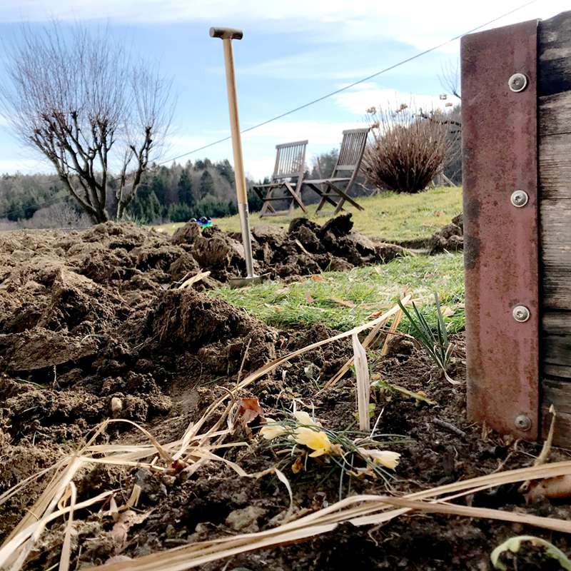 Umstechen im Gemüsegarten