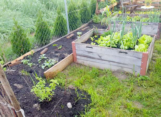 Mini Garten in Wohnung - kleiner Landsitz