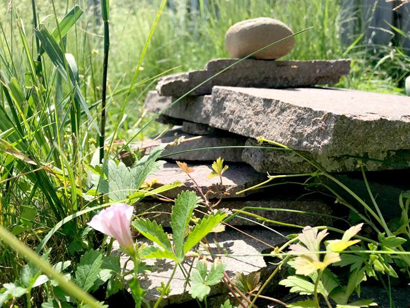 Steinhaufen als Nützlingsunterkünfte im Garten vom Landsitz