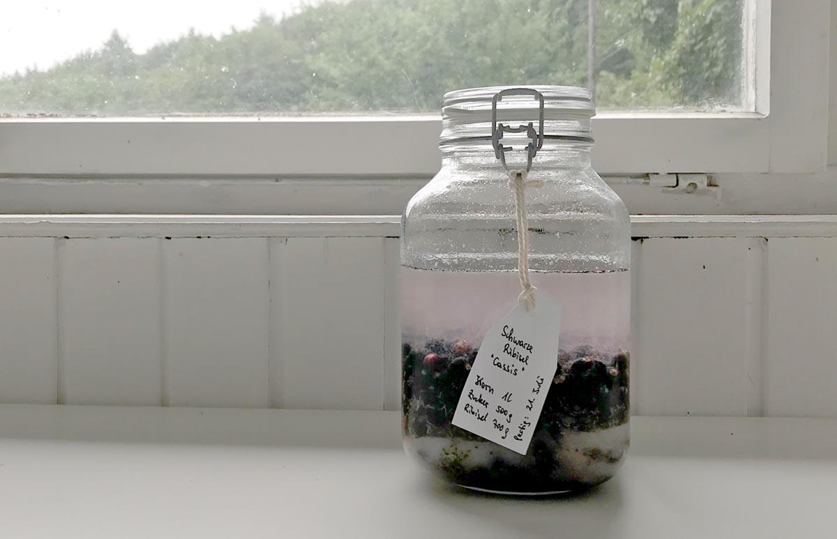 Cassis: So machst du den bekannten Johannisbeerlikör selber