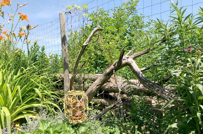 Nützlingsunterkünfte: Warum du in deinem Garten Totholz stapeln und kein Geld für Insektenhotels rauswerfen solltest