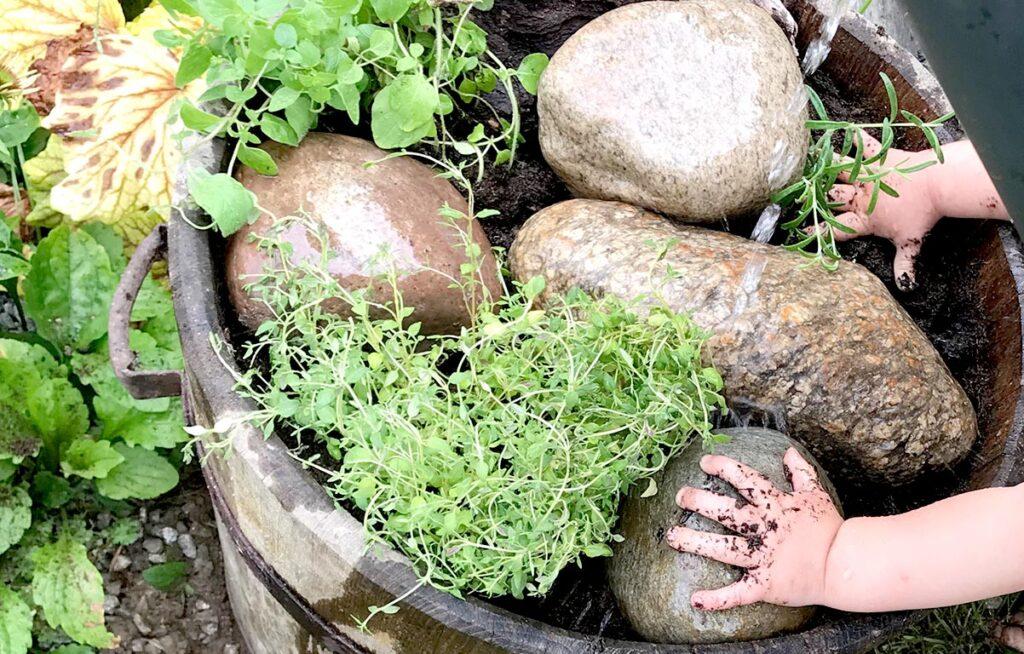 Grillkräuter: Wir bauen einen kleinen Kräutergarten neben dem Grill