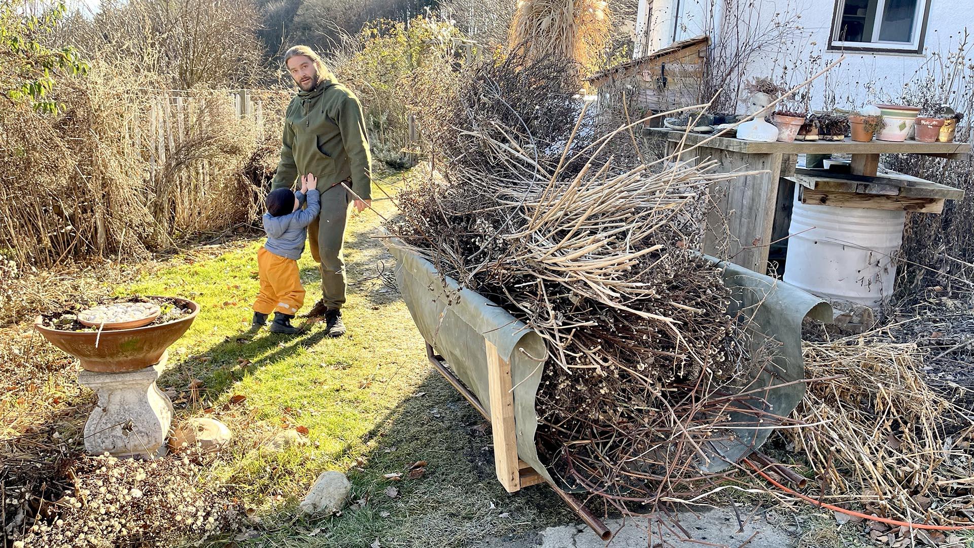 Gartenarbeiten im Februar: Staudenrückschnitt