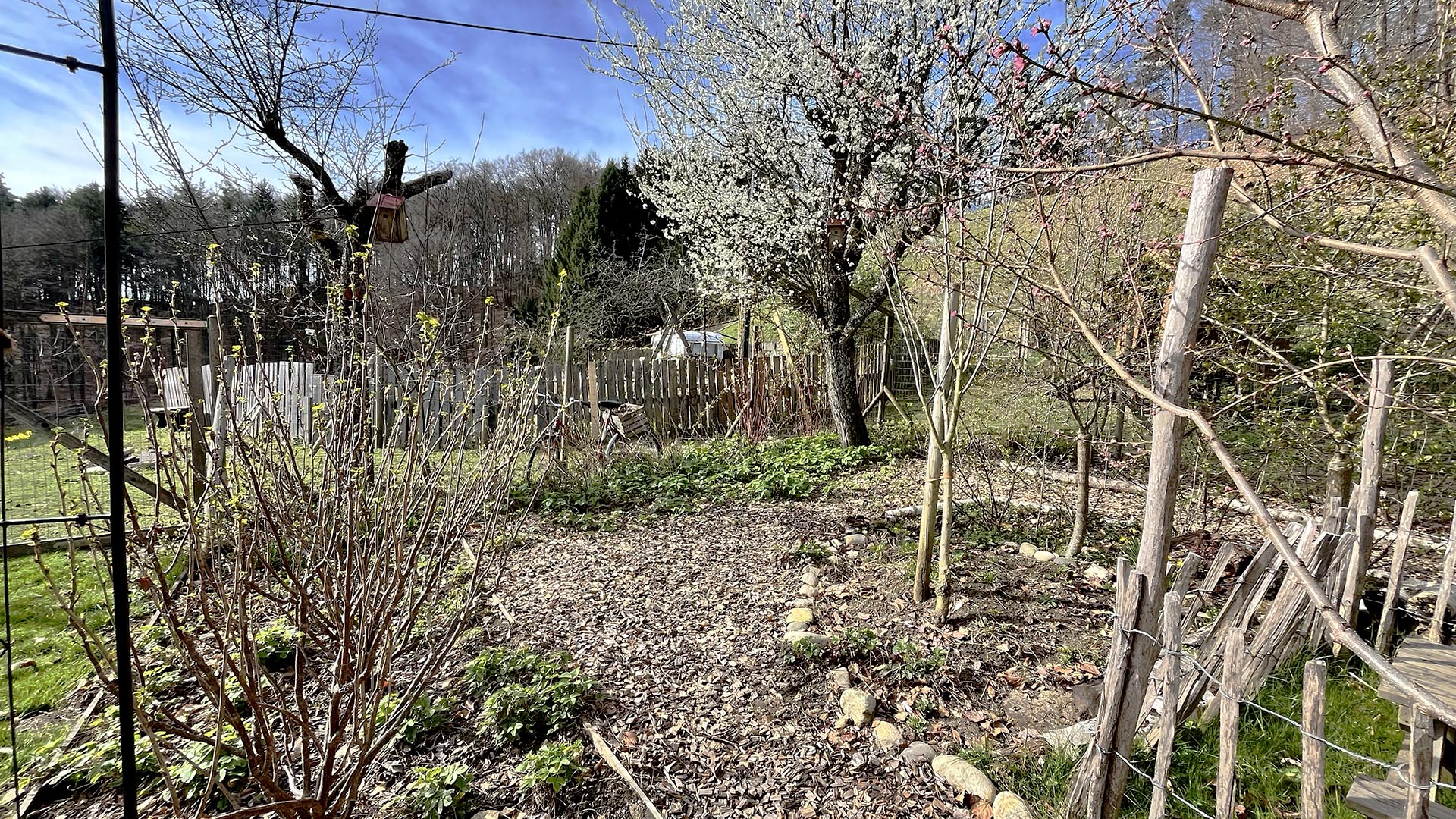 Permakultur im Reihenhausgarten funktioniert genauso wie auf größeren Flächen!