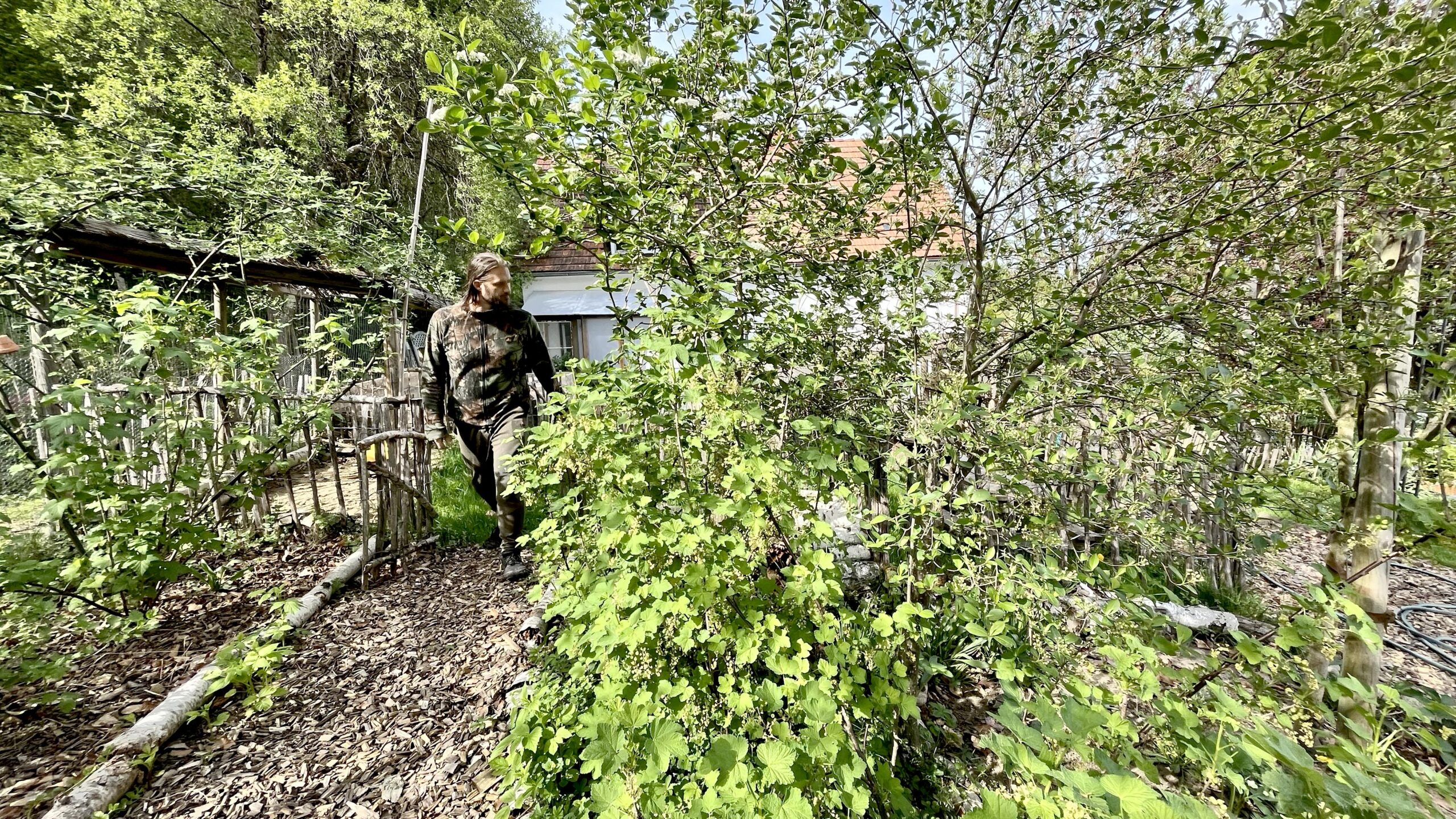 Permakultur im Reihenhausgarten – kein Grundstück ist zu klein zum Ernten