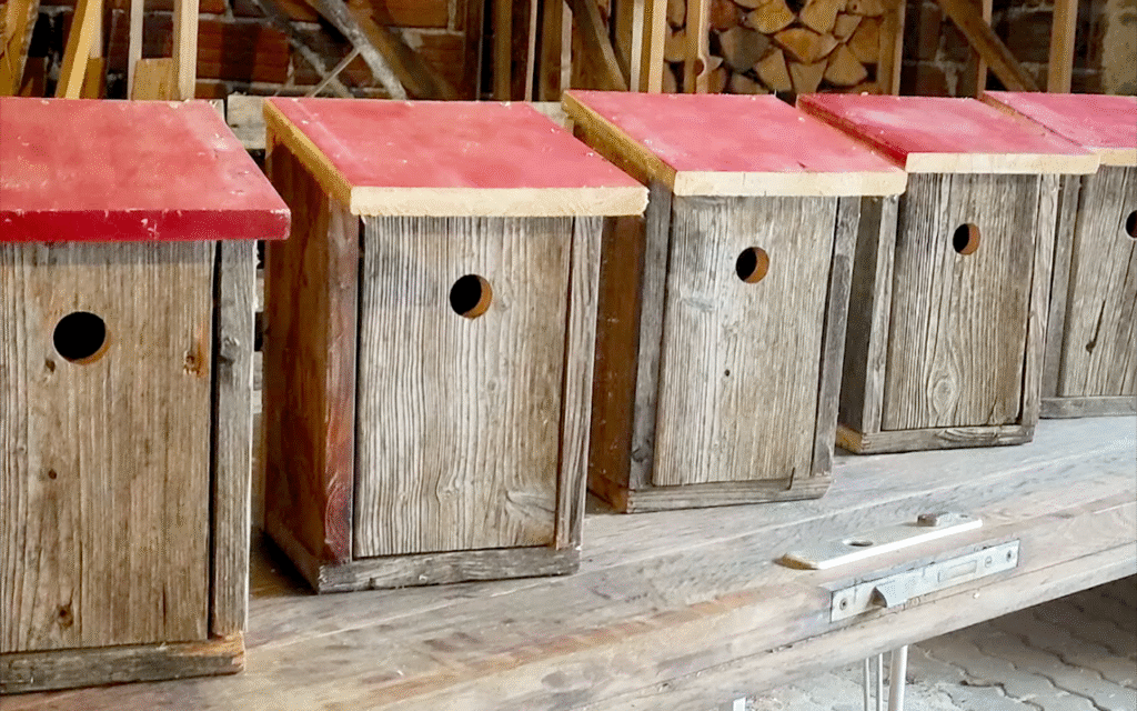 Eine Reihe von selbstgebauten Nistkästen aus Holz mit rotem Deckel. Vogelhäuschen aufhängen lohnt sich1