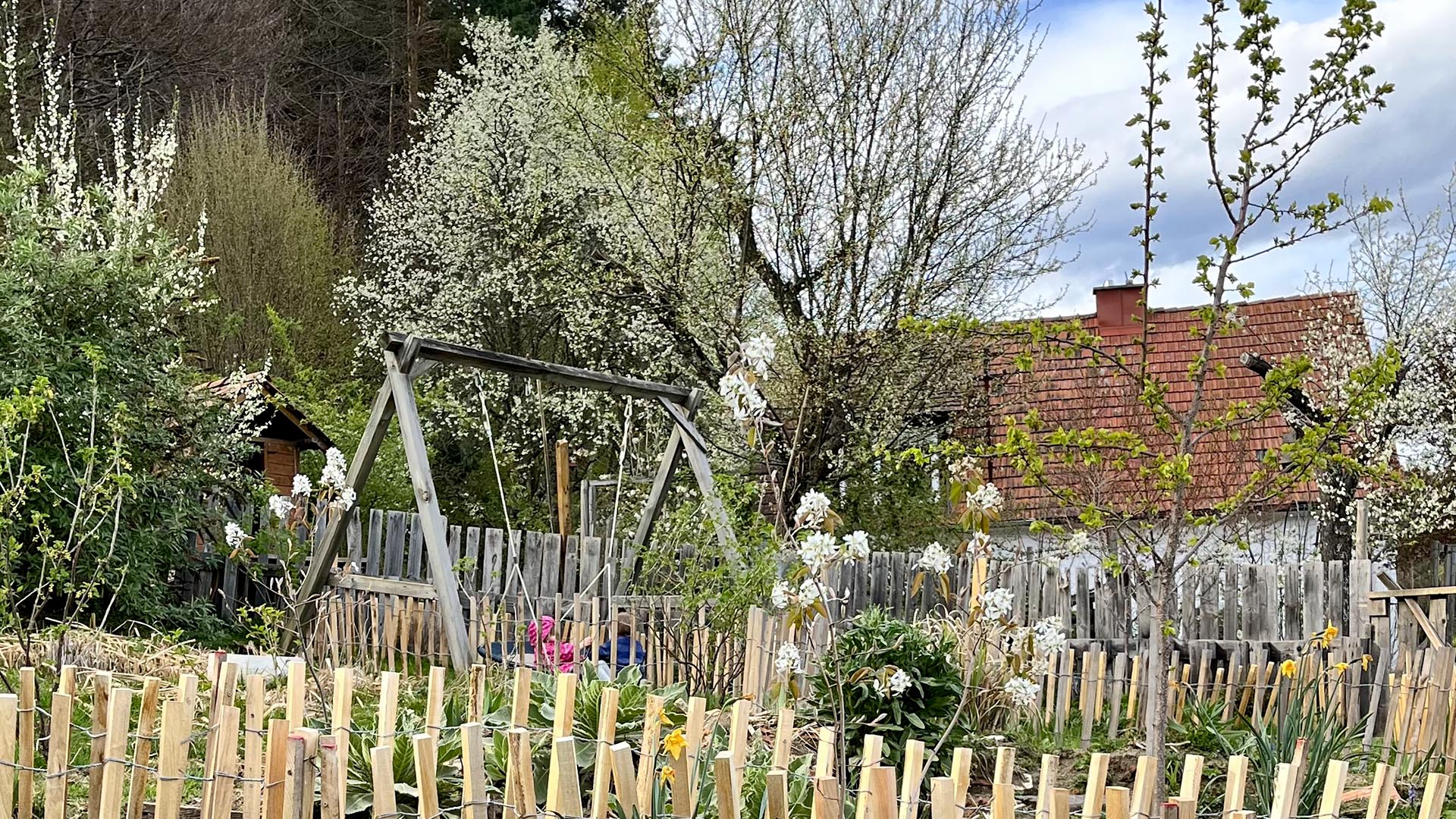 Geschichten vom Labkraut: Vom Schönreden und Einfachmachen