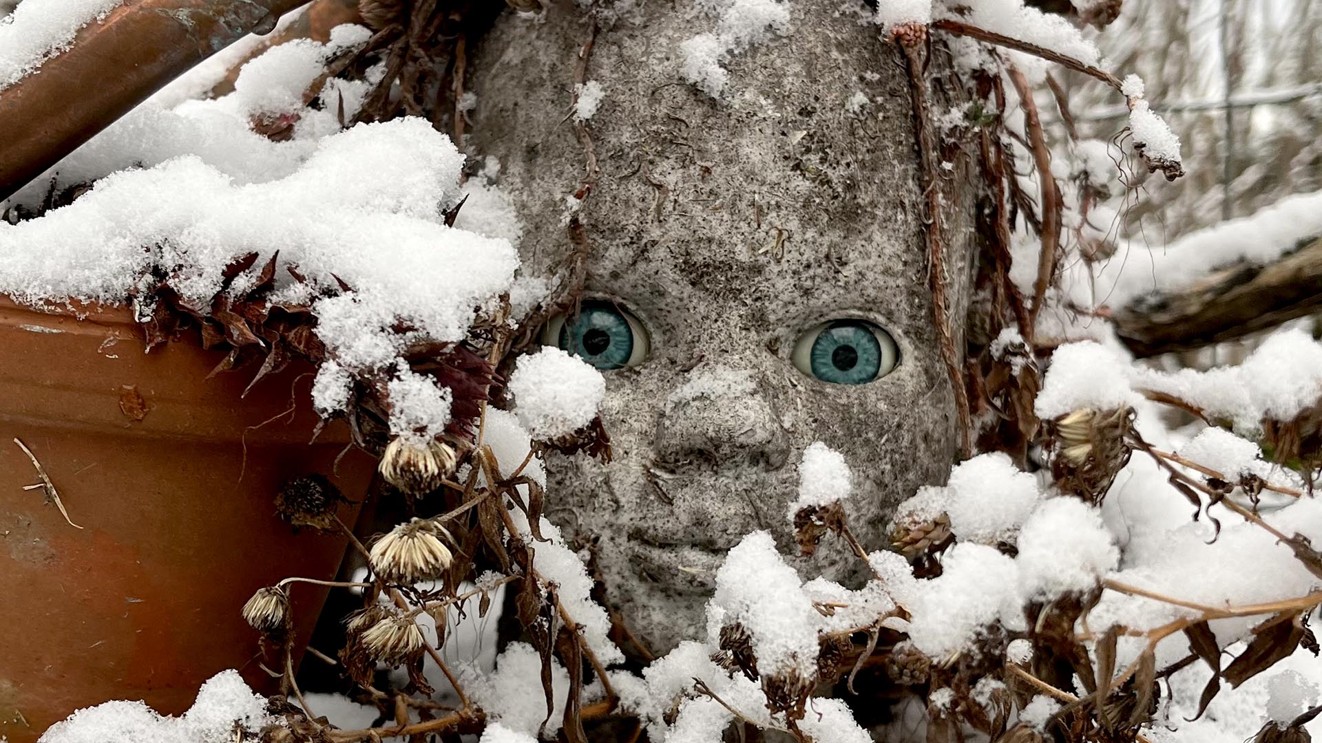 Geschichten vom Labkraut: Neujahrsvorsätze einmal anders