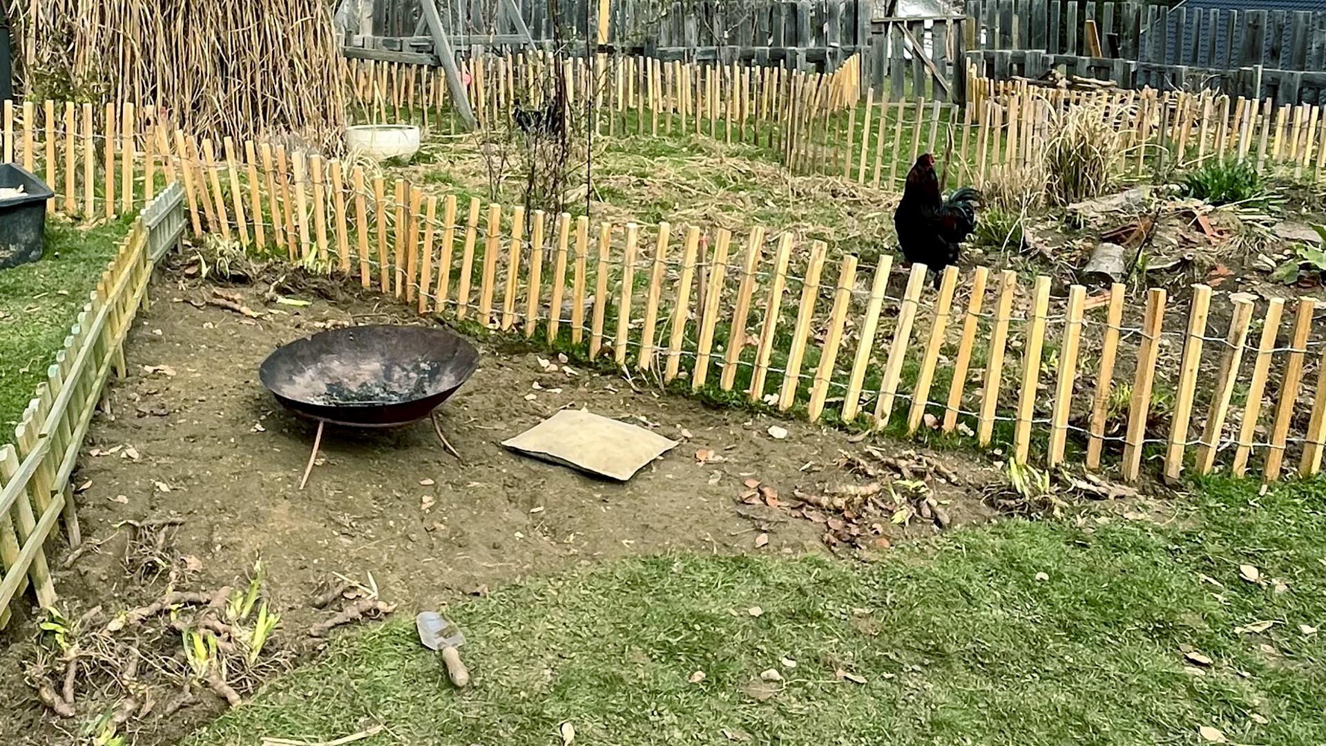 Geschichten vom Labkraut: Gärtnerschmerzen und Ungeduld