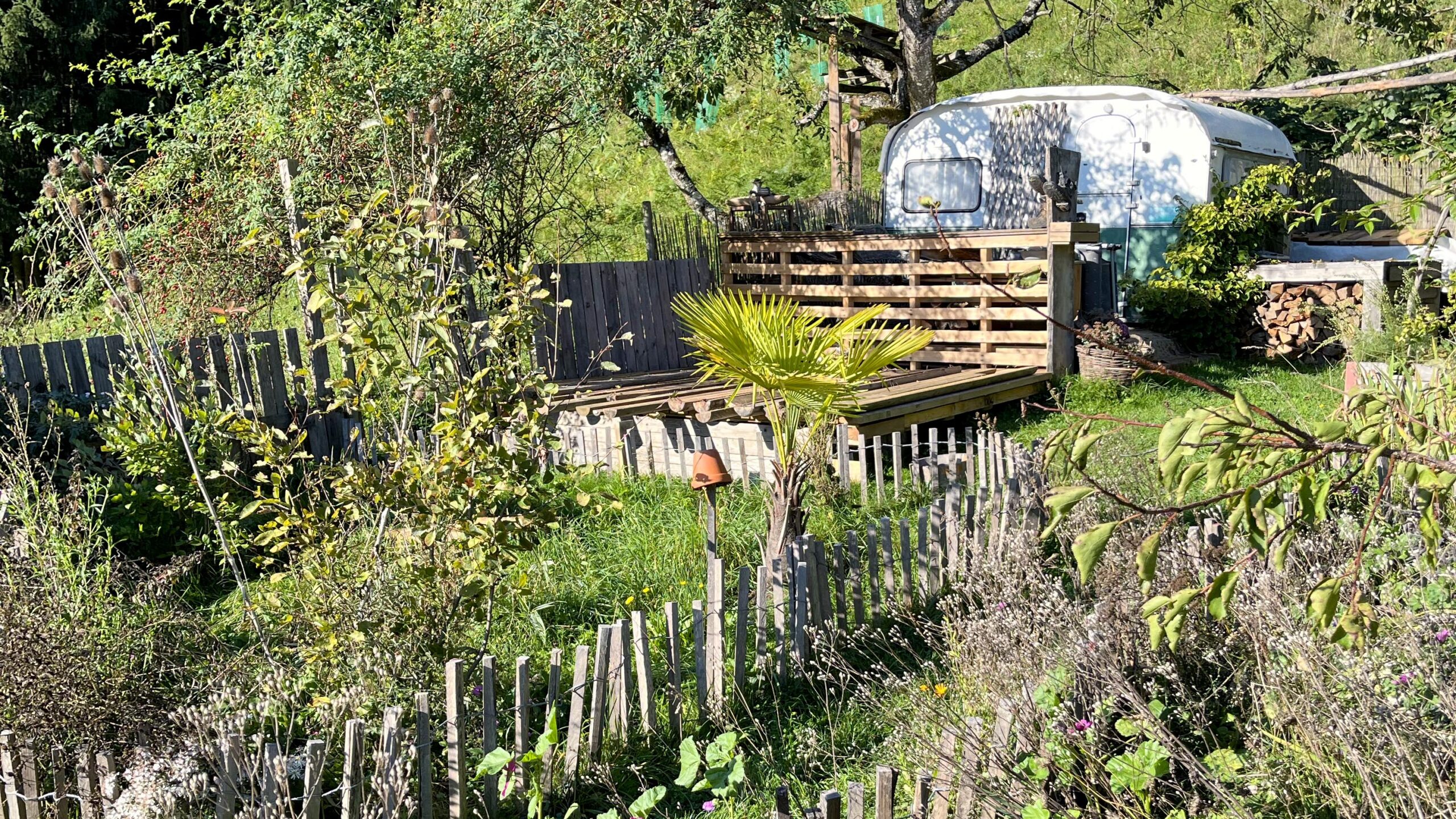Geschichten vom Labkraut: Kinderkram